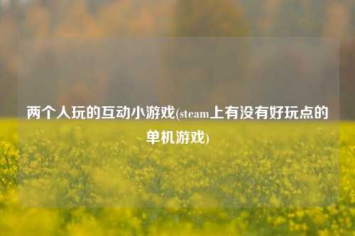 两个人玩的互动小游戏(steam上有没有好玩点的单机游戏)