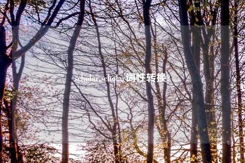 scholar,scholar词性转换?