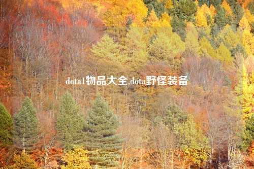 dota1物品大全,dota野怪装备