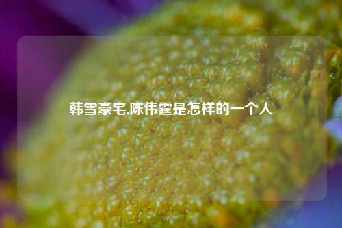 韩雪豪宅,陈伟霆是怎样的一个人