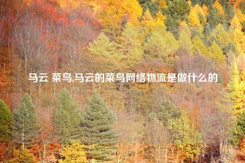 马云 菜鸟,马云的菜鸟网络物流是做什么的