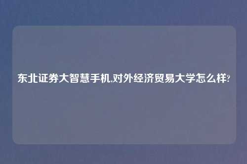 东北证券大智慧手机,对外经济贸易大学怎么样?
