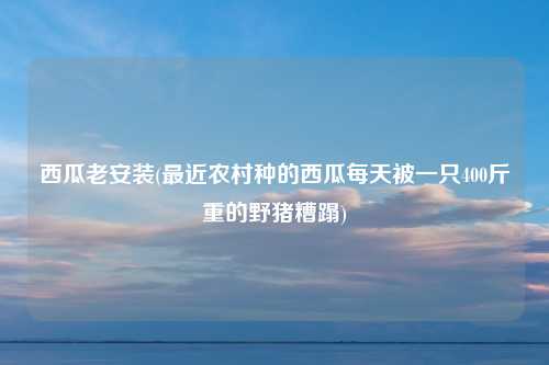 西瓜老安装(最近农村种的西瓜每天被一只400斤重的野猪糟蹋)