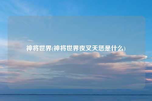 神将世界(神将世界夜叉天惩是什么)