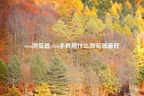 vivo浏览器,vivo手机用什么浏览器最好
