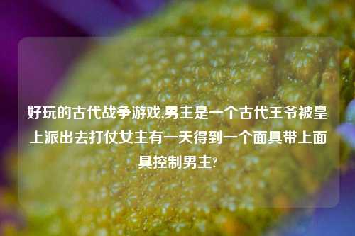 好玩的古代战争游戏,男主是一个古代王爷被皇上派出去打仗女主有一天得到一个面具带上面具控制男主?
