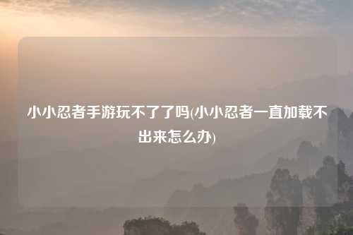 小小忍者手游玩不了了吗(小小忍者一直加载不出来怎么办)