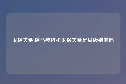 戈洛夫金,洛马琴科和戈洛夫金是同级别的吗