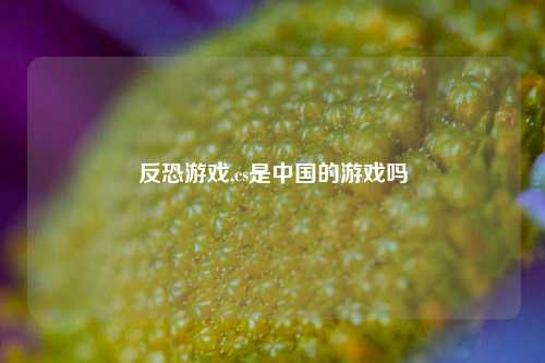 反恐游戏,cs是中国的游戏吗