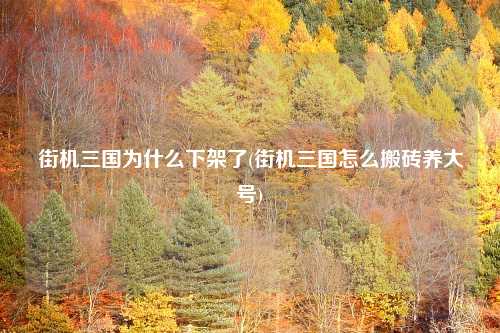 街机三国为什么下架了(街机三国怎么搬砖养大号)