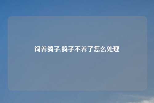 饲养鸽子,鸽子不养了怎么处理
