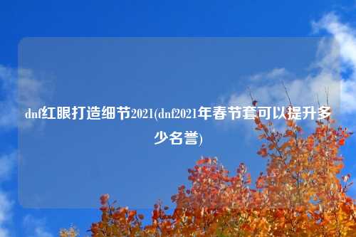 dnf红眼打造细节2021(dnf2021年春节套可以提升多少名誉)