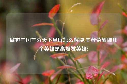 傲世三国三分天下黑屏怎么解决,王者荣耀哪几个英雄是高爆发英雄?