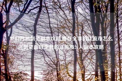 梦幻西游剑灵副本攻略,面目全非的江流市怎么进剑灵面目全非的江流市24人副本攻略
