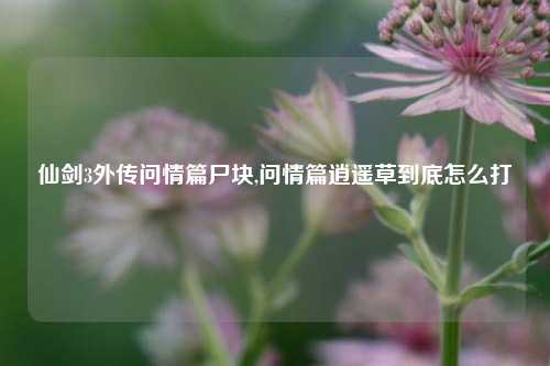 仙剑3外传问情篇尸块,问情篇逍遥草到底怎么打