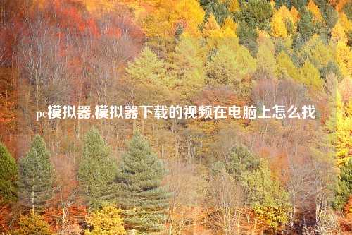 pc模拟器,模拟器下载的视频在电脑上怎么找