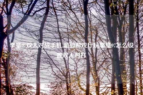 拳皇97双人对战手机,葡萄游戏厅玩拳皇97怎么设置双人对打