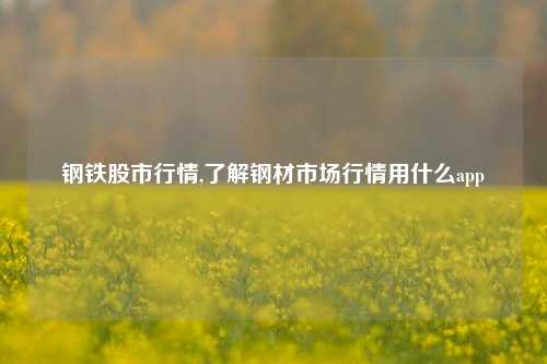 钢铁股市行情,了解钢材市场行情用什么app