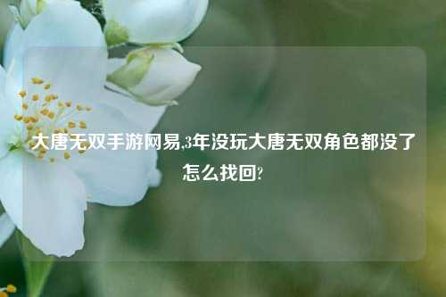 大唐无双手游网易,3年没玩大唐无双角色都没了怎么找回?