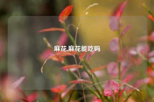 麻花,麻花能吃吗