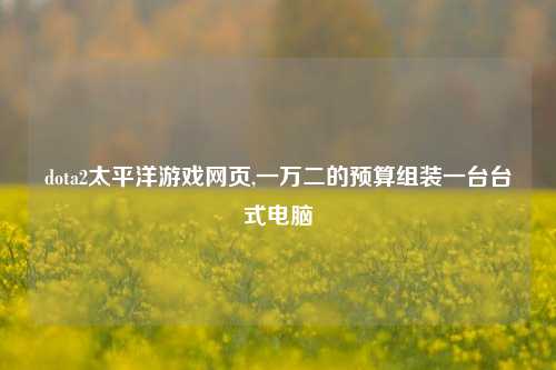 dota2太平洋游戏网页,一万二的预算组装一台台式电脑