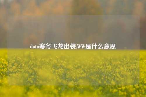 dota寒冬飞龙出装,WW是什么意思