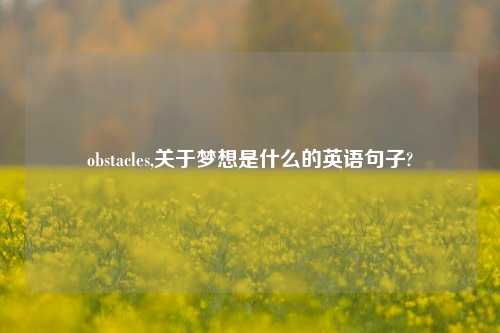 obstacles,关于梦想是什么的英语句子?