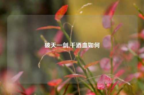 破天一剑,千酒血如何