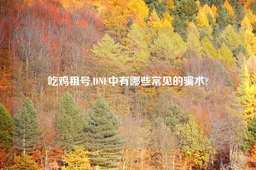 吃鸡租号,DNF中有哪些常见的骗术?