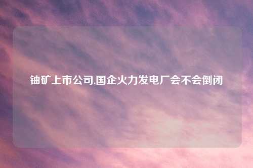铀矿上市公司,国企火力发电厂会不会倒闭