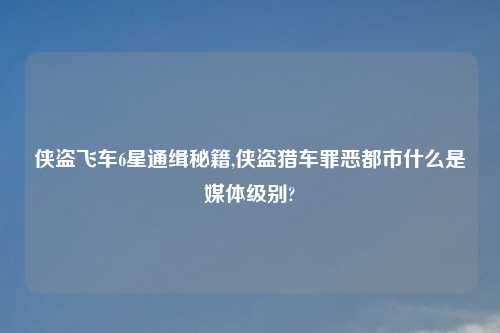 侠盗飞车6星通缉秘籍,侠盗猎车罪恶都市什么是媒体级别?