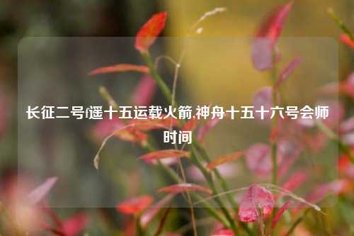 长征二号f遥十五运载火箭,神舟十五十六号会师时间
