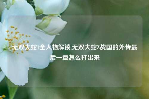 无双大蛇1全人物解锁,无双大蛇Z战国的外传最后一章怎么打出来