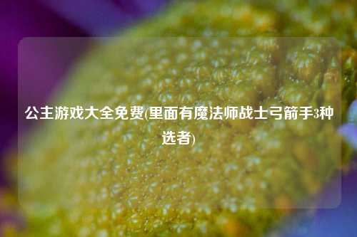 公主游戏大全免费(里面有魔法师战士弓箭手3种选者)