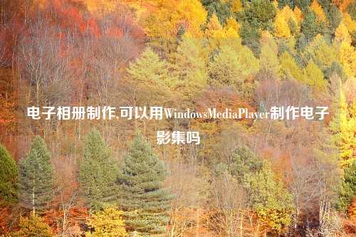 电子相册制作,可以用WindowsMediaPlayer制作电子影集吗