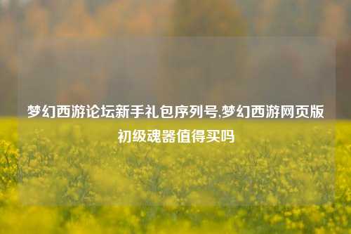 梦幻西游论坛新手礼包序列号,梦幻西游网页版初级魂器值得买吗
