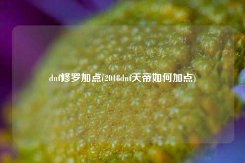 dnf修罗加点(2018dnf天帝如何加点)