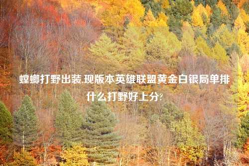 螳螂打野出装,现版本英雄联盟黄金白银局单排什么打野好上分?