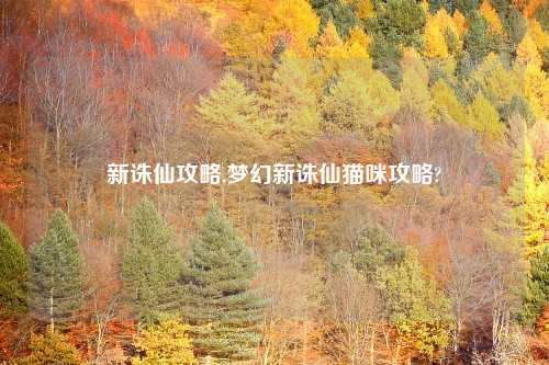 新诛仙攻略,梦幻新诛仙猫咪攻略?