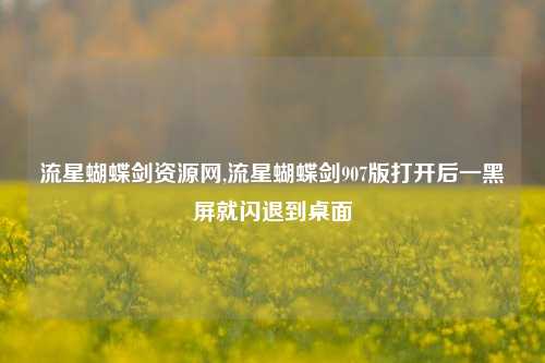 流星蝴蝶剑资源网,流星蝴蝶剑907版打开后一黑屏就闪退到桌面