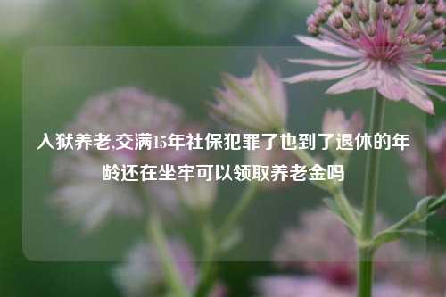 入狱养老,交满15年社保犯罪了也到了退休的年龄还在坐牢可以领取养老金吗