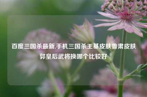 百度三国杀最新,手机三国杀王基皮肤鲁肃皮肤郭皇后武将换哪个比较好