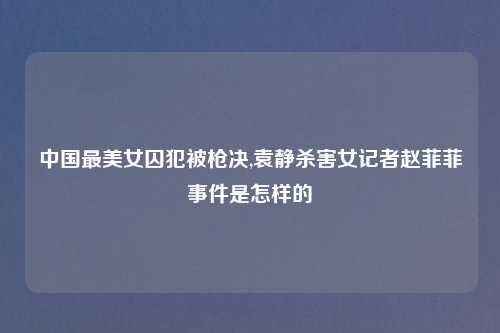 中国最美女囚犯被枪决,袁静杀害女记者赵菲菲事件是怎样的