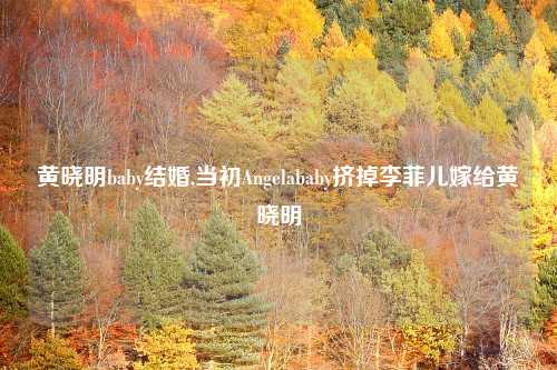 黄晓明baby结婚,当初Angelababy挤掉李菲儿嫁给黄晓明