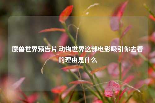 魔兽世界预告片,动物世界这部电影吸引你去看的理由是什么