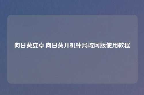向日葵安卓,向日葵开机棒局域网版使用教程
