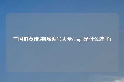三国群英传5物品编号大全(cropp是什么牌子)