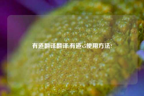 有道翻译翻译,有道x5使用方法?