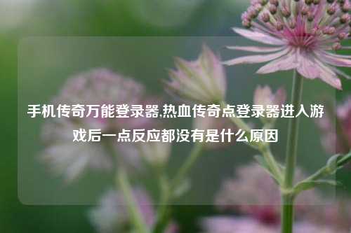 手机传奇万能登录器,热血传奇点登录器进入游戏后一点反应都没有是什么原因