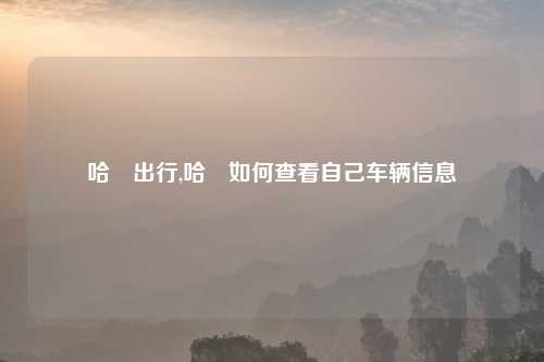 哈啰出行,哈啰如何查看自己车辆信息